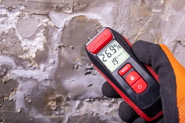 Best Fast Mold Removal  in Charles Town, WV