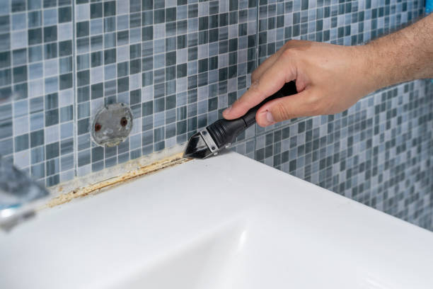 Mold Testing and Removal in Charles Town, WV