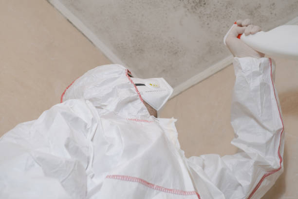 Home Mold Removal in Charles Town, WV